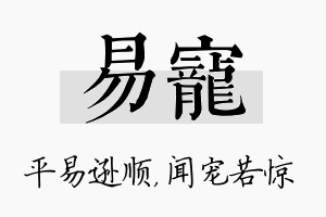 易宠名字的寓意及含义