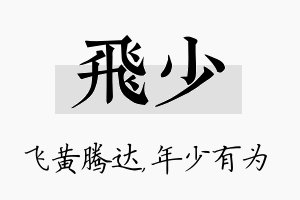 飞少名字的寓意及含义