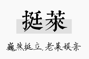 挺莱名字的寓意及含义