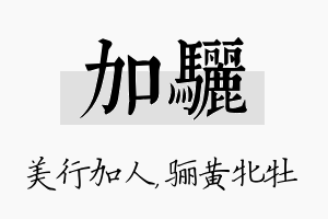 加骊名字的寓意及含义