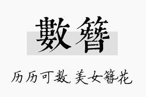 数簪名字的寓意及含义