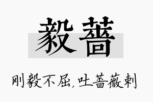 毅蔷名字的寓意及含义