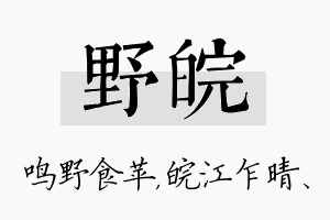 野皖名字的寓意及含义