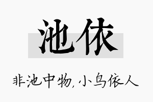 池依名字的寓意及含义