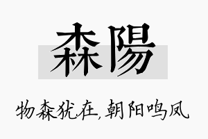 森阳名字的寓意及含义