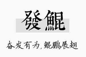 发鲲名字的寓意及含义