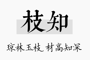 枝知名字的寓意及含义