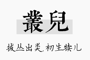 丛儿名字的寓意及含义