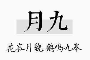 月九名字的寓意及含义