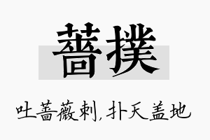 蔷扑名字的寓意及含义