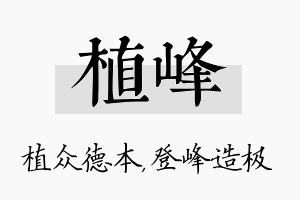 植峰名字的寓意及含义