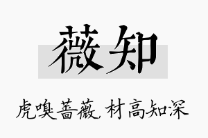 薇知名字的寓意及含义