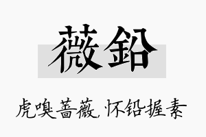 薇铅名字的寓意及含义