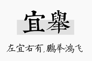 宜举名字的寓意及含义