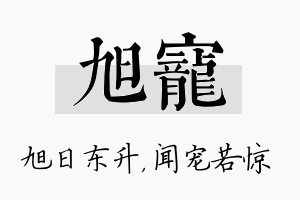 旭宠名字的寓意及含义