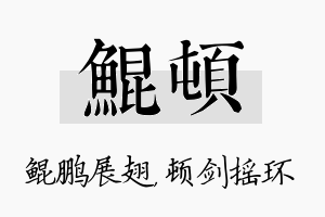 鲲顿名字的寓意及含义