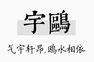 宇鸥名字的寓意及含义