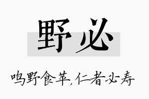 野必名字的寓意及含义