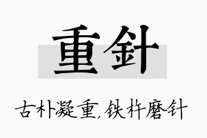 重针名字的寓意及含义