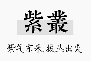 紫丛名字的寓意及含义