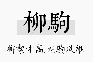 柳驹名字的寓意及含义