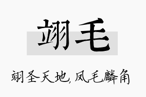 翊毛名字的寓意及含义