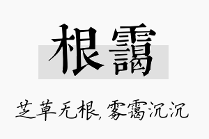 根霭名字的寓意及含义