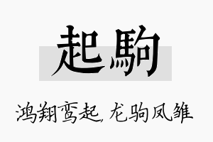 起驹名字的寓意及含义