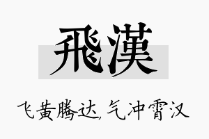 飞汉名字的寓意及含义