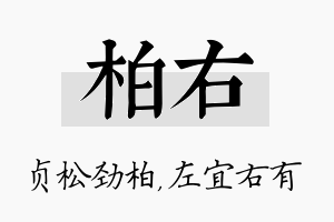 柏右名字的寓意及含义