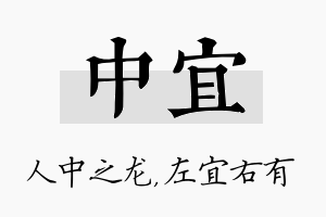 中宜名字的寓意及含义