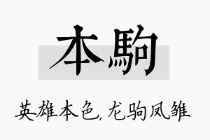 本驹名字的寓意及含义