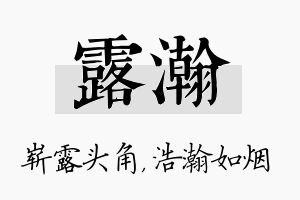 露瀚名字的寓意及含义