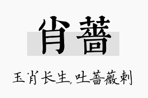 肖蔷名字的寓意及含义