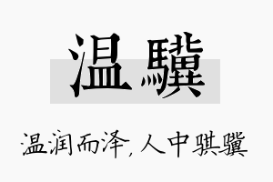 温骥名字的寓意及含义