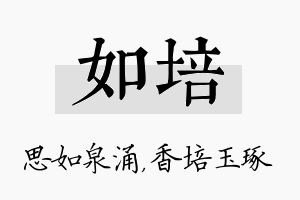 如培名字的寓意及含义