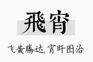 飞宵名字的寓意及含义