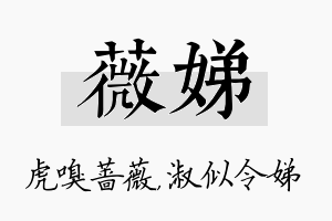 薇娣名字的寓意及含义