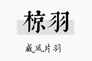 椋羽名字的寓意及含义