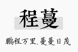 程蔓名字的寓意及含义