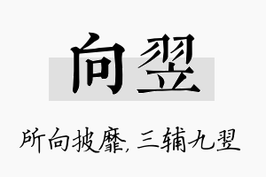 向翌名字的寓意及含义