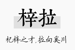 梓拉名字的寓意及含义