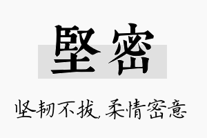 坚密名字的寓意及含义