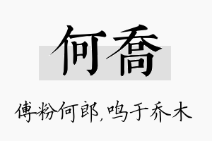 何乔名字的寓意及含义