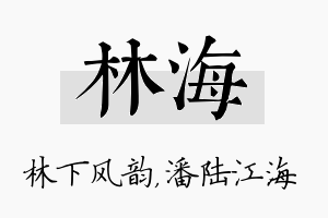 林海名字的寓意及含义