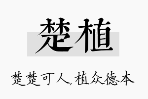 楚植名字的寓意及含义