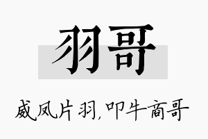 羽哥名字的寓意及含义