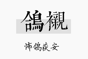 鸽衬名字的寓意及含义