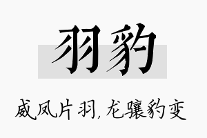 羽豹名字的寓意及含义