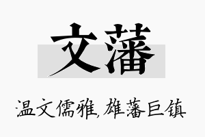 文藩名字的寓意及含义